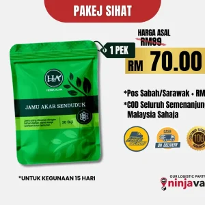 JAMU SENDUDUK 1 PAKET (70)
